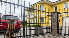 Ak ste nepriznali daň za psa alebo nehnuteľnosť, pokutu nedostanete