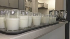 Mlieko niekto miluje, inému nevyhovuje. Zisťovali sme, ako je to s intoleranciou na laktózu