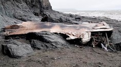 Príčina havárie lietadla na Kamčatke je známa. Jedna chyba stála život 28 ľudí