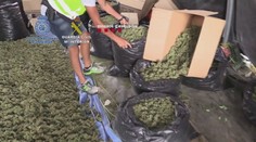 Španielska polícia zadržala rekordné množstvo marihuany