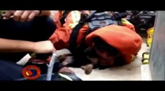 Dojímavá záchrana: Hasič zachránil šteniatko umelým dýchaním a masážou srdca