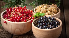 Zreje ovocie, ktoré prospieva imunite. Vyskúšajte dezert, ktorý ste v detstve milovali