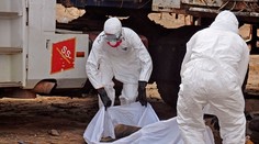 Ebola naberá na sile. WHO hlási rekordný týždeň