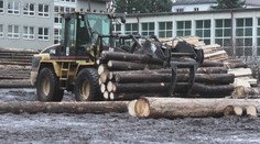 Projekt, ktorý môže pomôcť obciam ušetriť náklady na vykurovanie, sa nepáči vlastníkom lesov