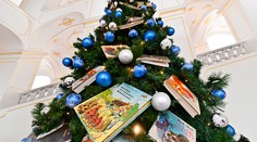 Najväčšie krňačky aj nezlomná výdrž v planku. Toto sú slovenské netradičné rekordy roku 2023