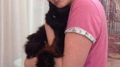 Pred 11 rokmi sa jej stratila mačka: Teraz ju našla podľa jedného znaku