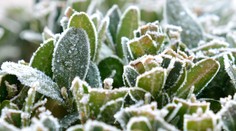 Ochladilo sa. Koľko stupňov bolo skoro ráno vo vašom regióne?