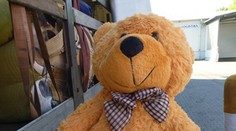 Colníci zadržali tisícky nebezpečných hračiek