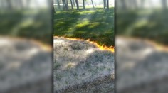 Nezvyčajný "požiar" v španielskom parku. Stromy, tráva aj lavičky zostali nedotknuté