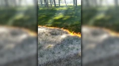 Nezvyčajný "požiar" v španielskom parku. Stromy, tráva aj lavičky zostali nedotknuté