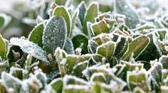 Chladné počasie sa nekončí: Ráno si užijeme mínusové teploty