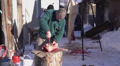 Vyhodil sa len mechúr a oči. Domáca zabíjačka je dokladom ľudovej geniality, ako neplytvať potravinami