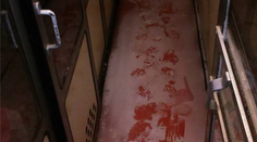 Aj takto vyzerajú slovenské vlaky: Cestujeme zamrznutými vagónmi