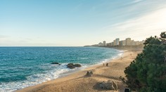 Na obľúbenom španielskom pobreží zabíjala ryba. Obeťou je len 16-ročný chlapec