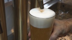 Slováci čoraz menej pijú klasické pivo. Opačný trend majú nealko varianty