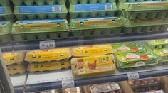 Štatistický úrad zverejnil nové dáta. Pozrite si, ako drasticky zdraželi vajcia