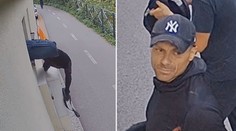 VIDEO: Tržbu nenašli, no poriadne sa znemožnili. Zverejnili autentické zábery zlodejov z Košíc