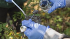 Greenpeace skúmalo viacero vôd na Hornej Nitre, výsledky šokovali