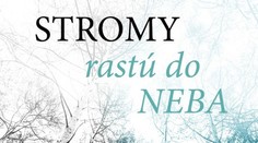Stromy rastú do neba