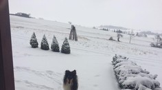 O tomto môžeme v Bratislave iba snívať... Čarovná zima na Orave