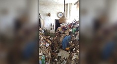 Hnijúce odpadky, výkaly vo vreckách a zápach. Byt v lukratívnej časti Bratislavy znepríjemňuje život susedom