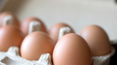 Kamaráti sa stavili, kto zje viac vajec. Jeden z nich pri tomto počte odpadol