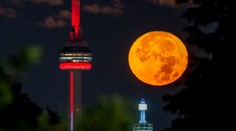 FOTO a VIDEO: Divadlo na nočnej oblohe. Modrý mesiac rozžiaril nebo na celom svete