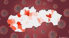 Na Slovensku pribudlo ďalších 19 pacientov s koronavírusom, pochádzajú najmä z Bratislavy