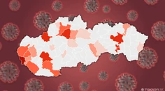 Na Slovensku pribudlo ďalších 19 pacientov s koronavírusom, pochádzajú najmä z Bratislavy