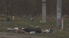 Reportáž z Buče: Zdevastované domy, zničené cesty aj vojenská technika. Na ulici stále ležia telá mŕtvych civilistov