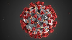 Nový koronavírus má 361 obetí, nakazených je vyše 17 200 osôb