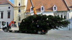 Na Hlavnom námestí v Bratislave už stojí vianočný stromček