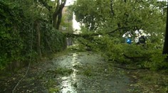 Predpovede sa naplnili. Hasiči mali kopec roboty