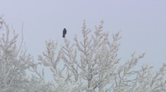 Na Slovensko sa ženie vlna arktického vzduchu, silný mráz pocítia najmä na severe