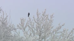 Na Slovensko sa ženie vlna arktického vzduchu, silný mráz pocítia najmä na severe