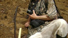 Gigantická dážďovka. Kde stretnete tohto obra?