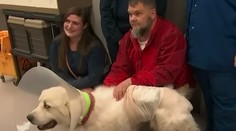 Pastierskeho psa oslavujú ako hrdinu. Pri ochrane stáda zabil 8 kojotov, zvyšok svorky zahnal