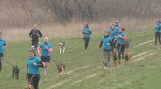 Chcete schudnúť do plaviek? Pomôže vám rodinný miláčik