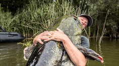 FOTO: Kapitálny úlovok známeho rybára: Z rieky vytiahol monštruózneho sumca s rekordnou dĺžkou
