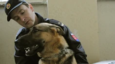 Na strednej škole v Humennom hľadal pes drogy. Označil mladú študentku