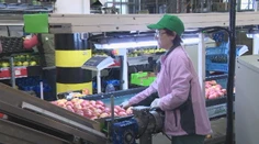 Minimálna mzda má od budúceho roka vzrásť na 520 eur