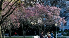 Čaká nás idylické letné počasie. Teploty vyletia neuveriteľne vysoko