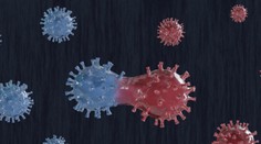 Britský variant koronavírusu opäť zmutoval. Vedci hovoria o znepokojujúcich zmenách