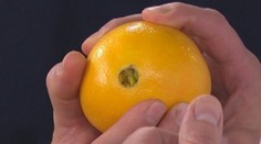 Ovocné priznanie - Recept od vás pre vás