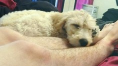 Nový trend v zahraničí? Ženy hrdo vystavujú chlpaté nohy