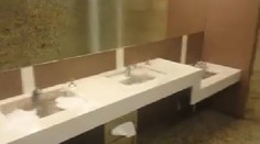 Scéna ako z hororu v bratislavskom Auparku