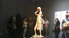 Možnosť bezplatnej prehliadky výstavy BODY THE EXHIBITION využili prví pedagógovia