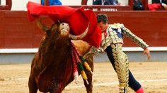 Tisíce ľudí žiadali v Madride ukončenie býčích zápasov