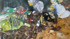 Špina, živé aj mŕtve zvieratá. Takto si nažívali otec s dcérou