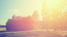 Príde predčasná a dokonalá jar. Už tento víkend